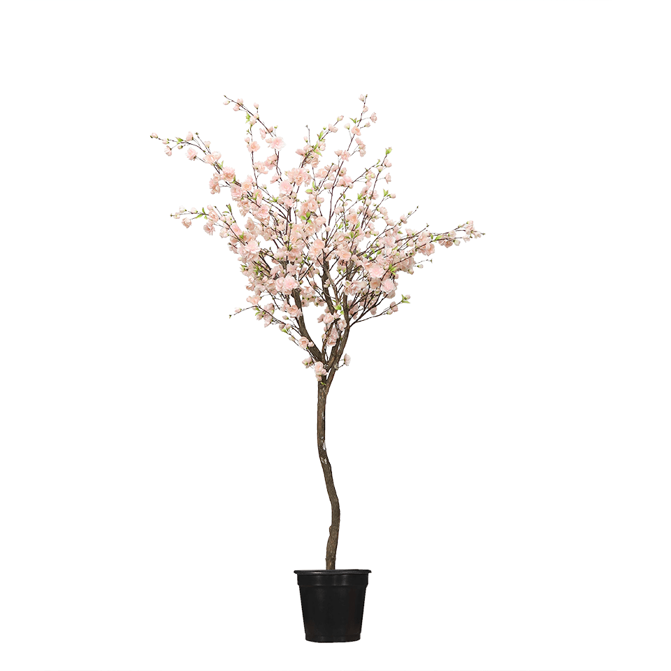 Cherry Blossom Tree Single Trunk in Grow Pot 7.5'H - LDF Silk