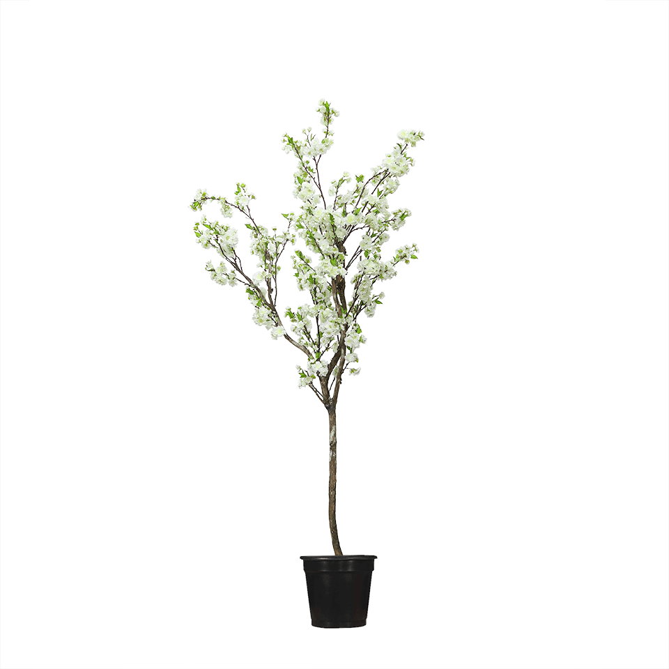 Cherry Blossom Tree Single Trunk in Grow Pot 7'H - LDF Silk