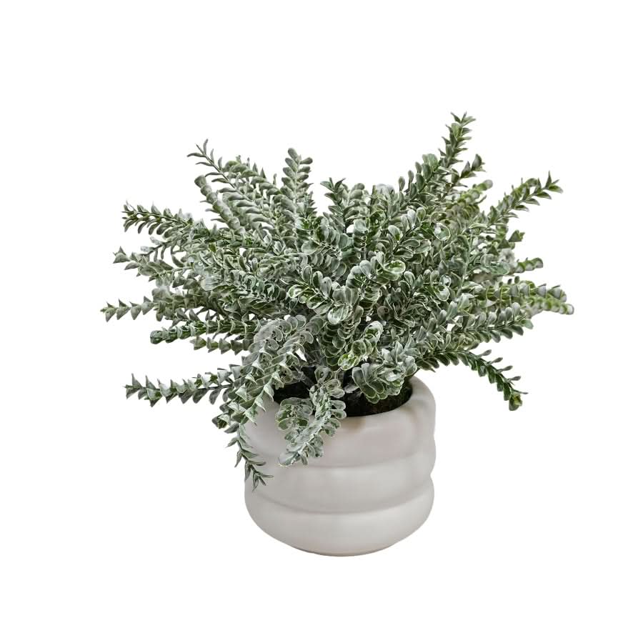 Clubmoddes Spray in Ribbed Ceramic 10"H x 12"DIA - LDF Silk