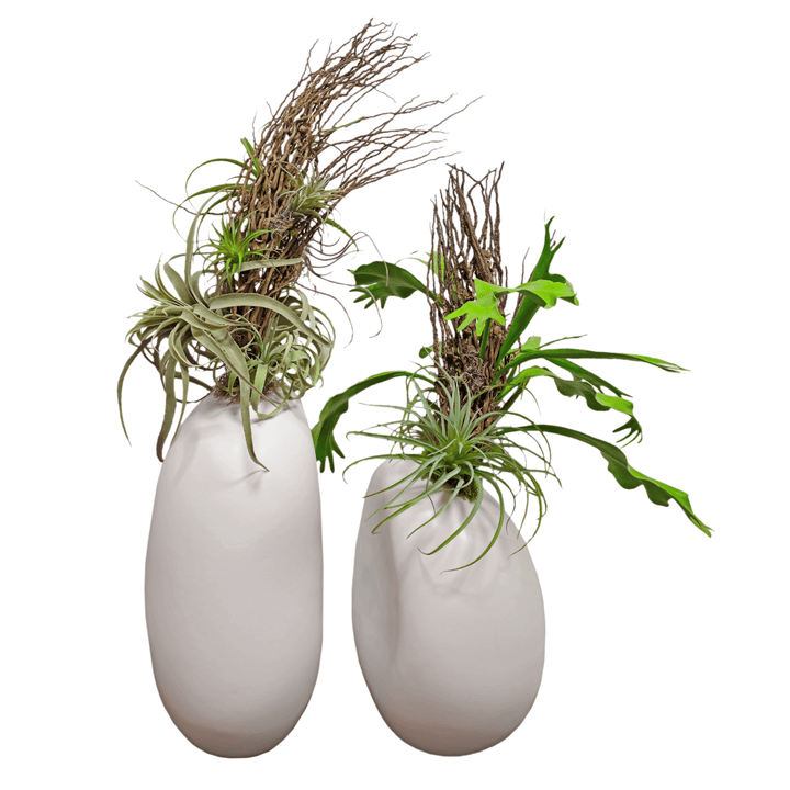 Coco Jhar and Tillandsia in Tall Ceramic FH: 47" - LDF Silk