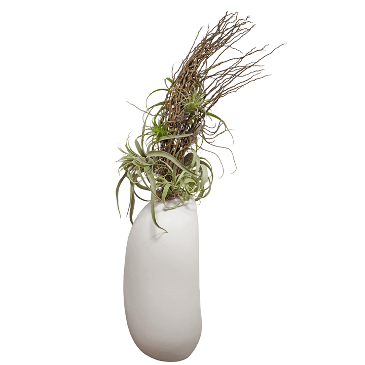 Coco Jhar and Tillandsia in Tall Ceramic FH: 47" - LDF Silk