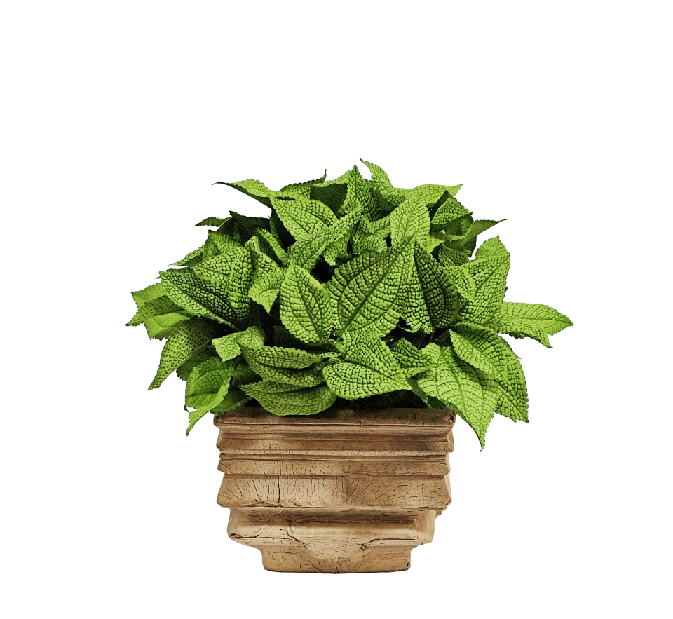 Coleus Leaf Bush in Antique Wood Vessel. 13"H One of a Kind - LDF Silk