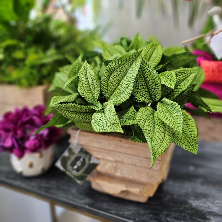 Coleus Leaf Bush in Antique Wood Vessel. 13"H (One of a Kind) - LDF Silk