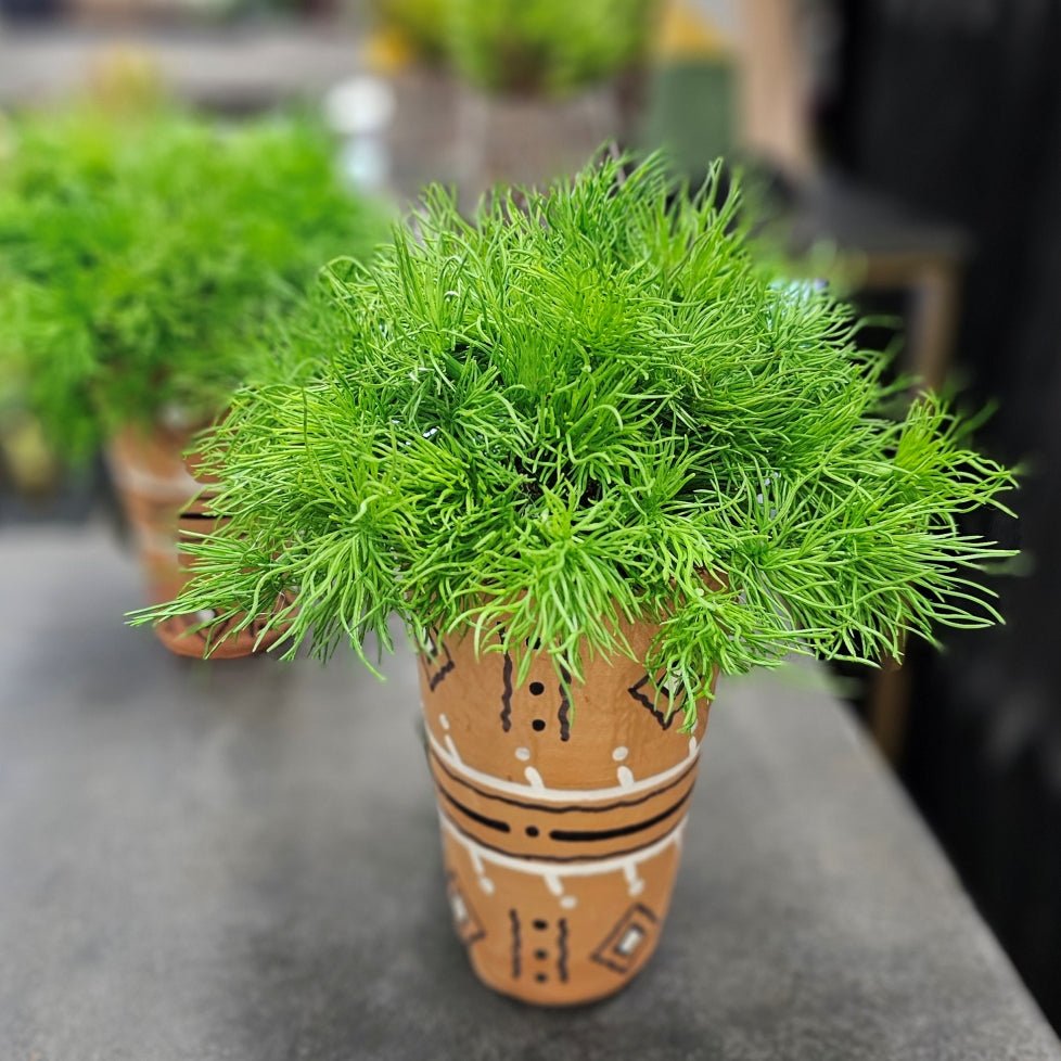 Curly Grass Bush in Patterned Terra Cotta. FH:10" - LDF SilkArtificial Flora