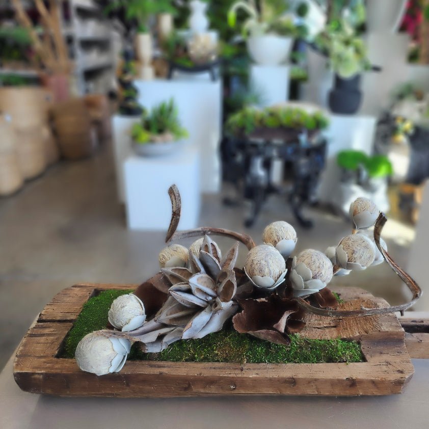 Curly Vine, Star Pod Cluster, Foam Pods and Calice in Carved Wood Tray 13"H - LDF Silk