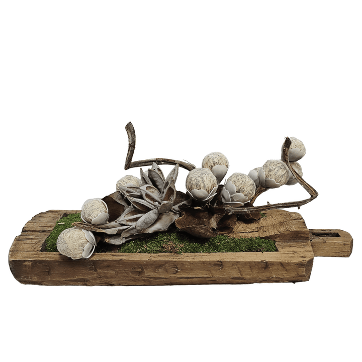Curly Vine, Star Pod Cluster, Foam Pods and Calice in Carved Wood Tray 13"H - LDF Silk