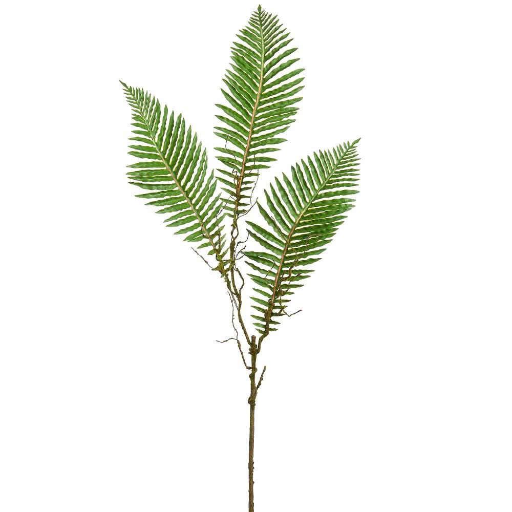 Cycas Palm leaf in Grow Pot 33"H - LDF Silk