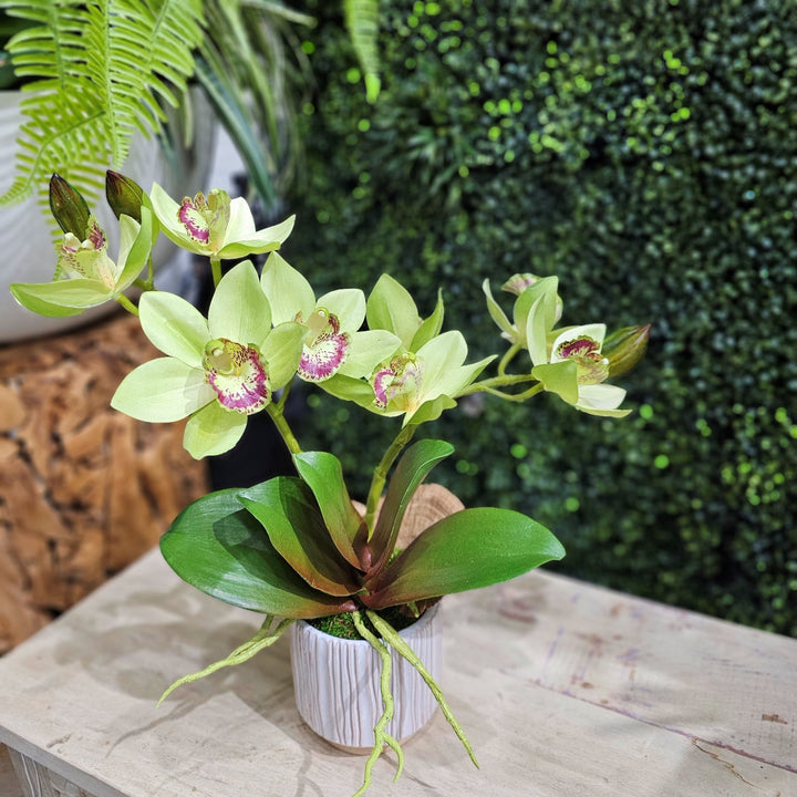 Cymbidium Orchid in Ribbed Ceramic 17"H - LDF Silk