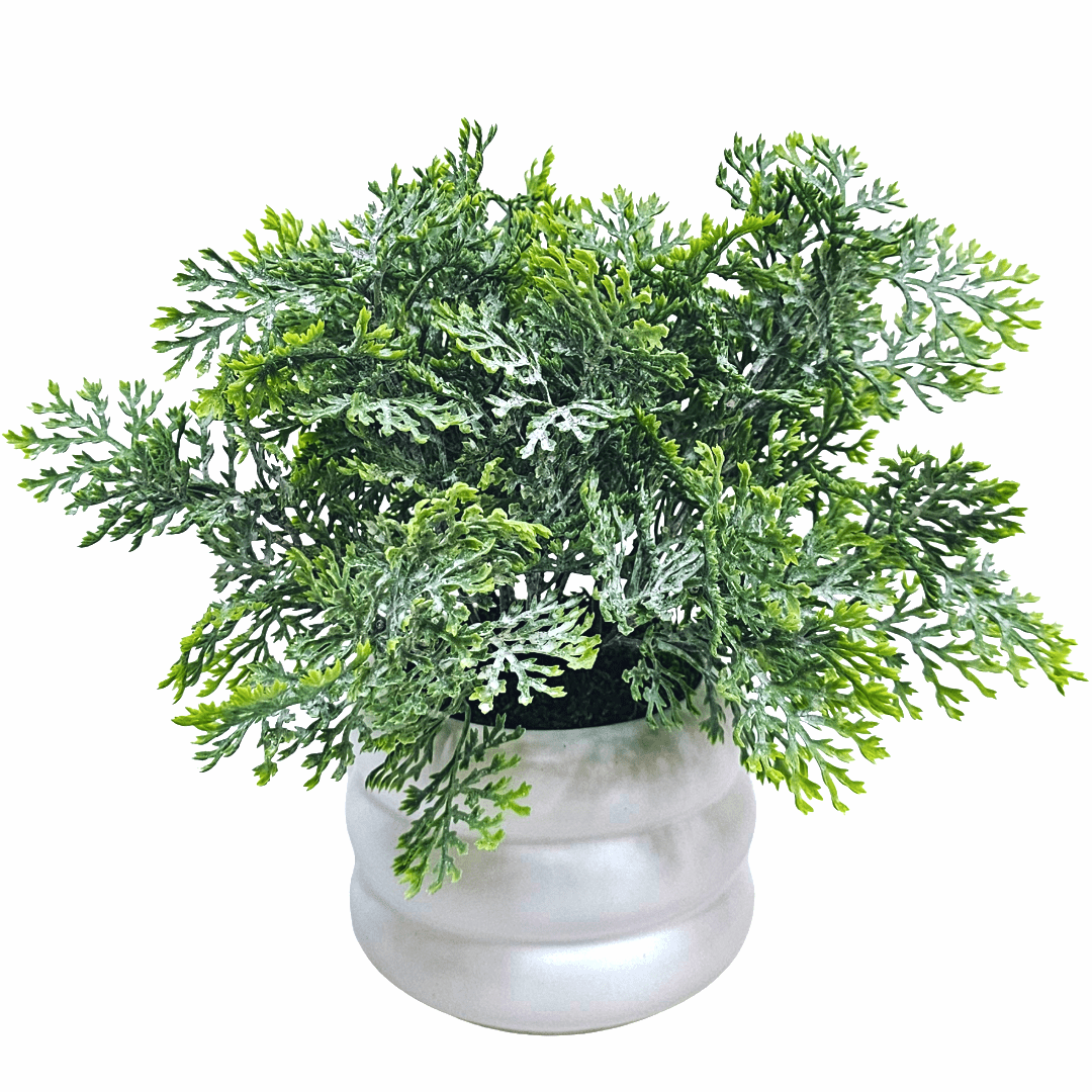 Cypress Bush in Ribbed Ceramic 10"H x 11"DIA - LDF Silk