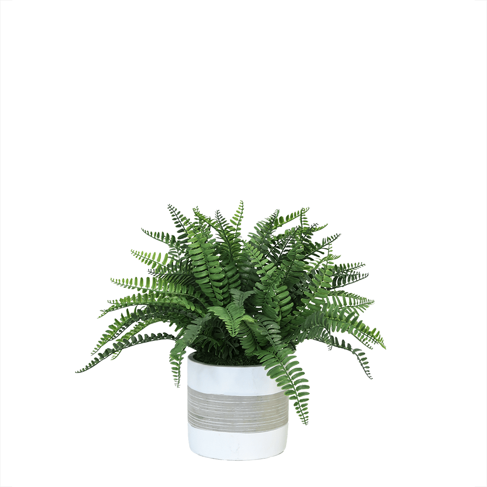 Deer Fern in Cement Round 13"H - LDF Silk