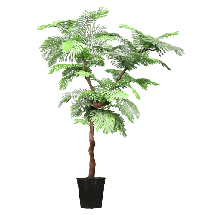 Delonix Regia Y Style on Natural Trunk - Various Sizes Available - LDF SilkArtificial Flora