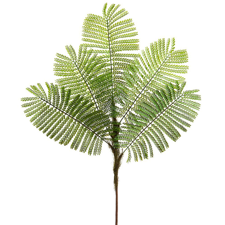 Delonix Regia Y Style on Natural Trunk - Various Sizes Available - LDF SilkArtificial Flora