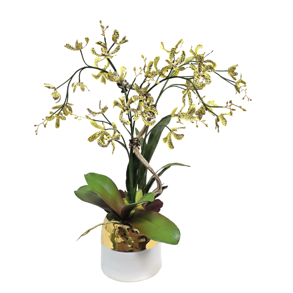 Dendrobium Orchid with Calice, Curly Vine Branch, and Orchid Leaf in Ceramic 28"H X 28"DIA - LDF Silk