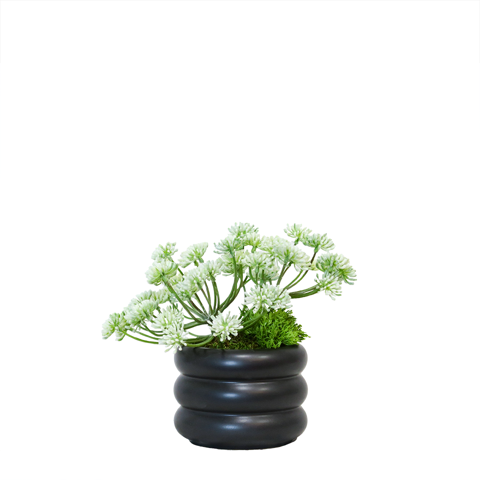 Dill Spray in Ceramic Pot 7.5"H - LDF Silk
