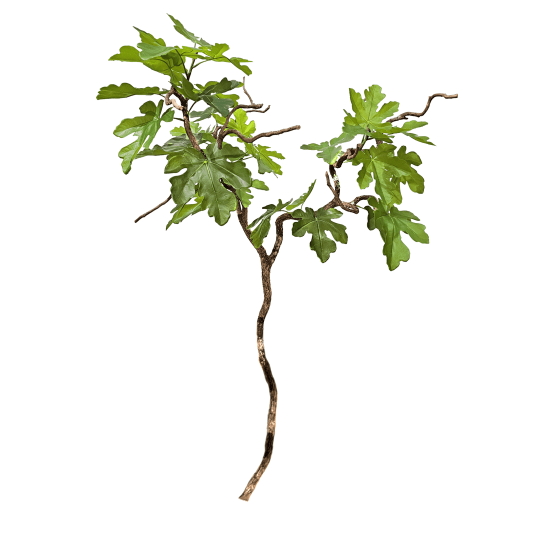 Double Fig Branch 5'H - LDF Silk