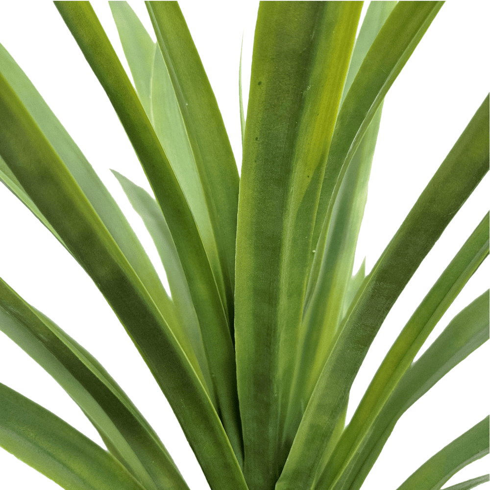 Dracaena in Grow Pot 42"H - LDF Silk