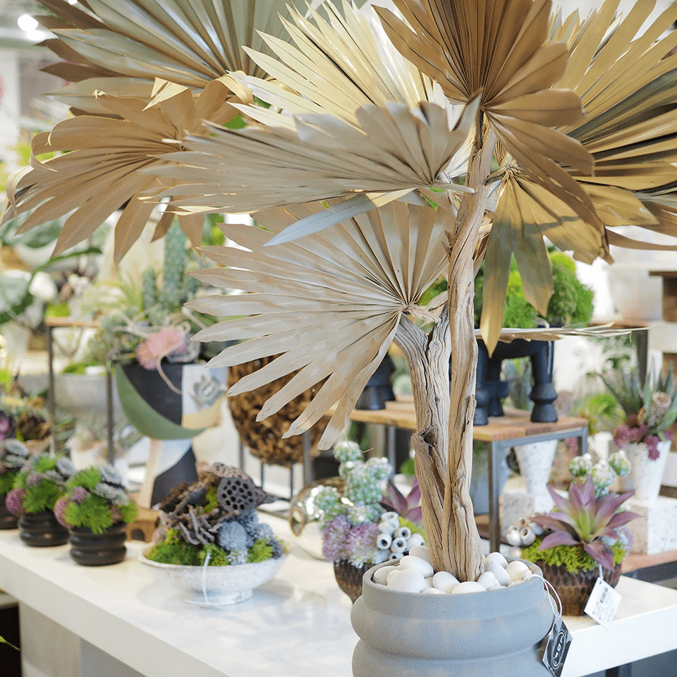 Dried Fan Palms on Ghostwood in Ceramic Vase 54"H - LDF Silk