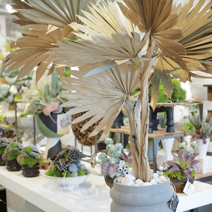 Dried Fan Palms on Ghostwood in Ceramic Vase 54"H - LDF Silk