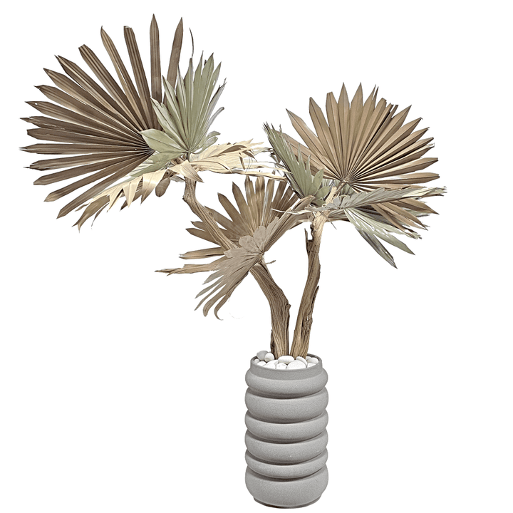 Dried Fan Palms on Ghostwood in Ceramic Vase 54"H - LDF Silk