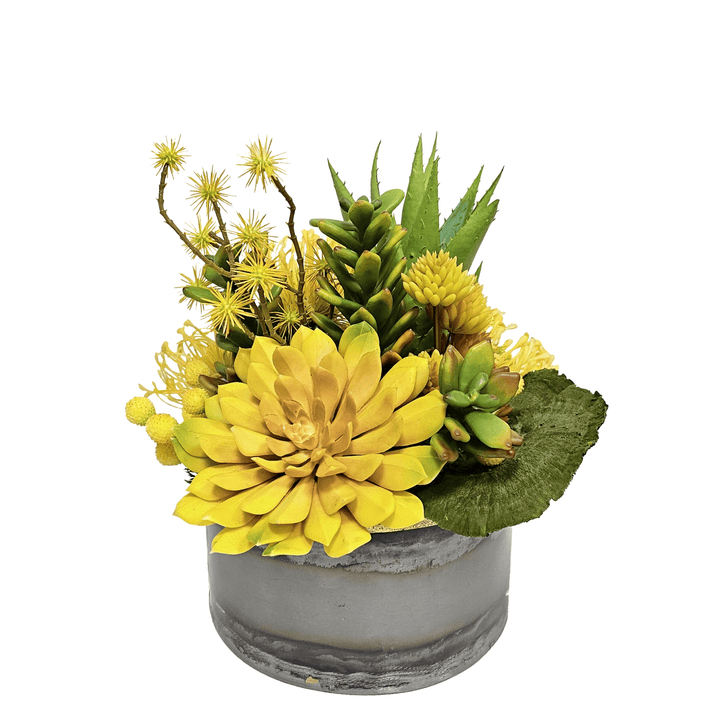 Echeveria, Aloe, Protea and Dried Mushrooms in Metal Bowl 12"H - LDF Silk