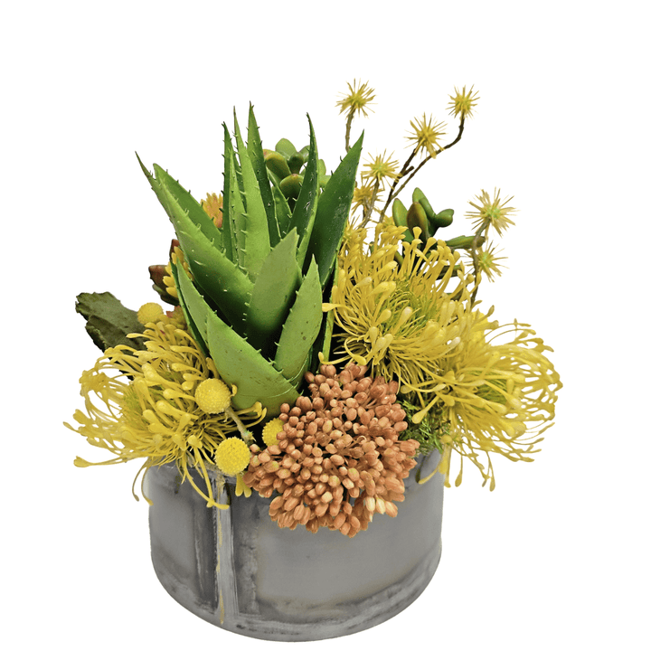 Echeveria, Aloe, Protea and Dried Mushrooms in Metal Bowl 12"H - LDF Silk