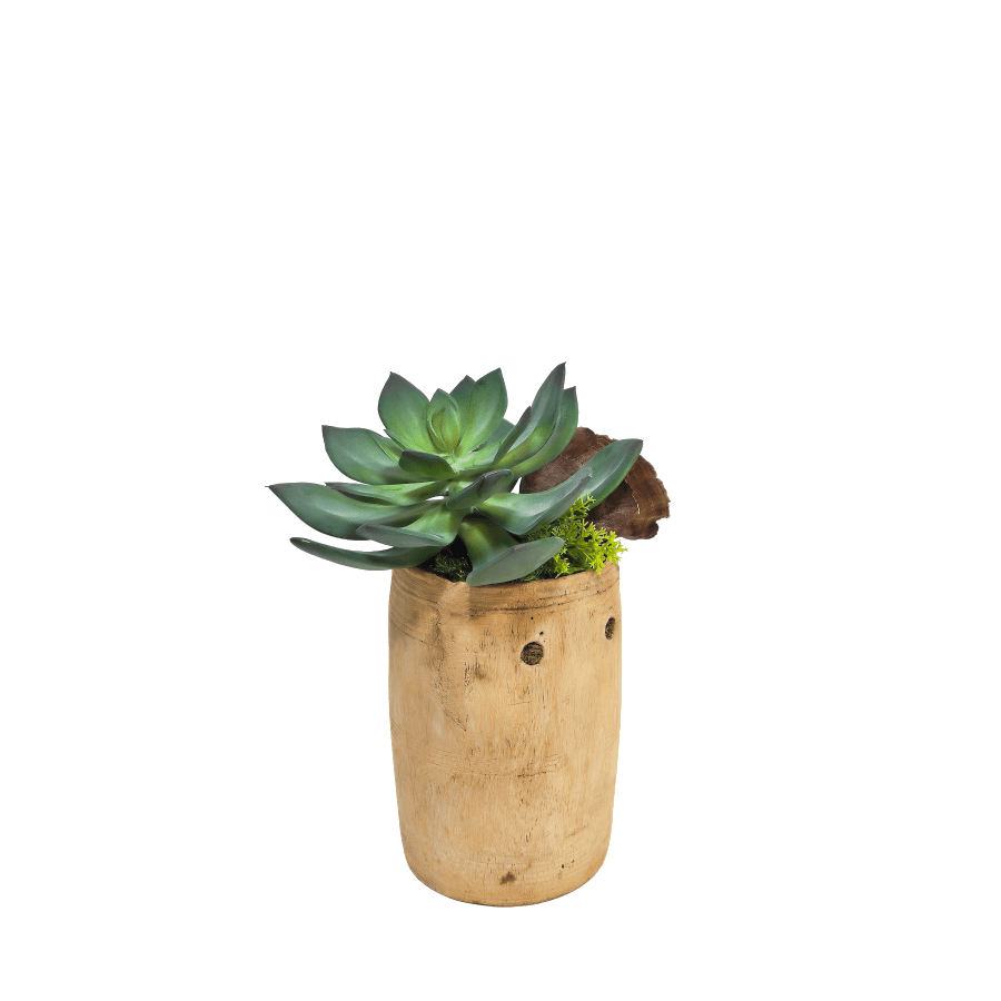 Echeveria and Calice in Wood Vessel 10"H x 7"Dia - LDF Silk