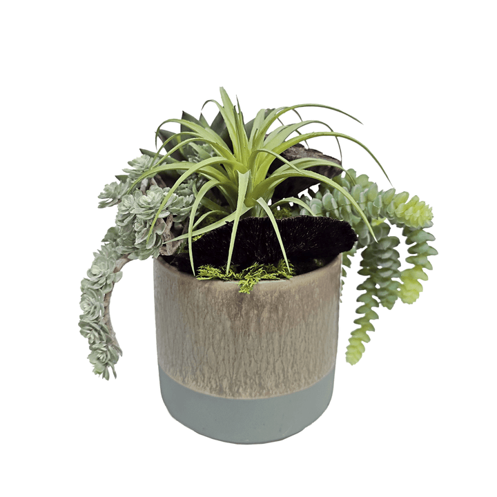 Echeveria, Donkey Tail, Tillandsia and Lotus Pods in Ceramic 9"H - LDF Silk