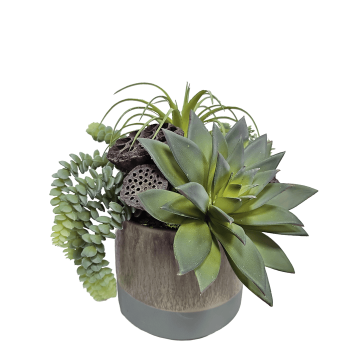 Echeveria, Donkey Tail, Tillandsia and Lotus Pods in Ceramic 9"H - LDF Silk