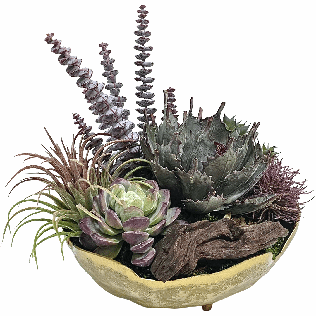 Echeveria Succulent with Artificial Flower Spray, Green Agave and Tillandsia Pick - LDF Silk