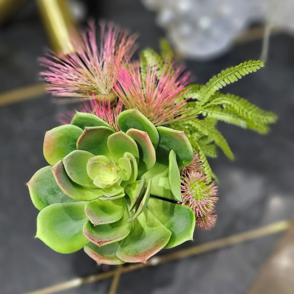 Echeveria with Lion's Tail and Pods in Container. FH: 7.5" - LDF SilkArtificial Flora