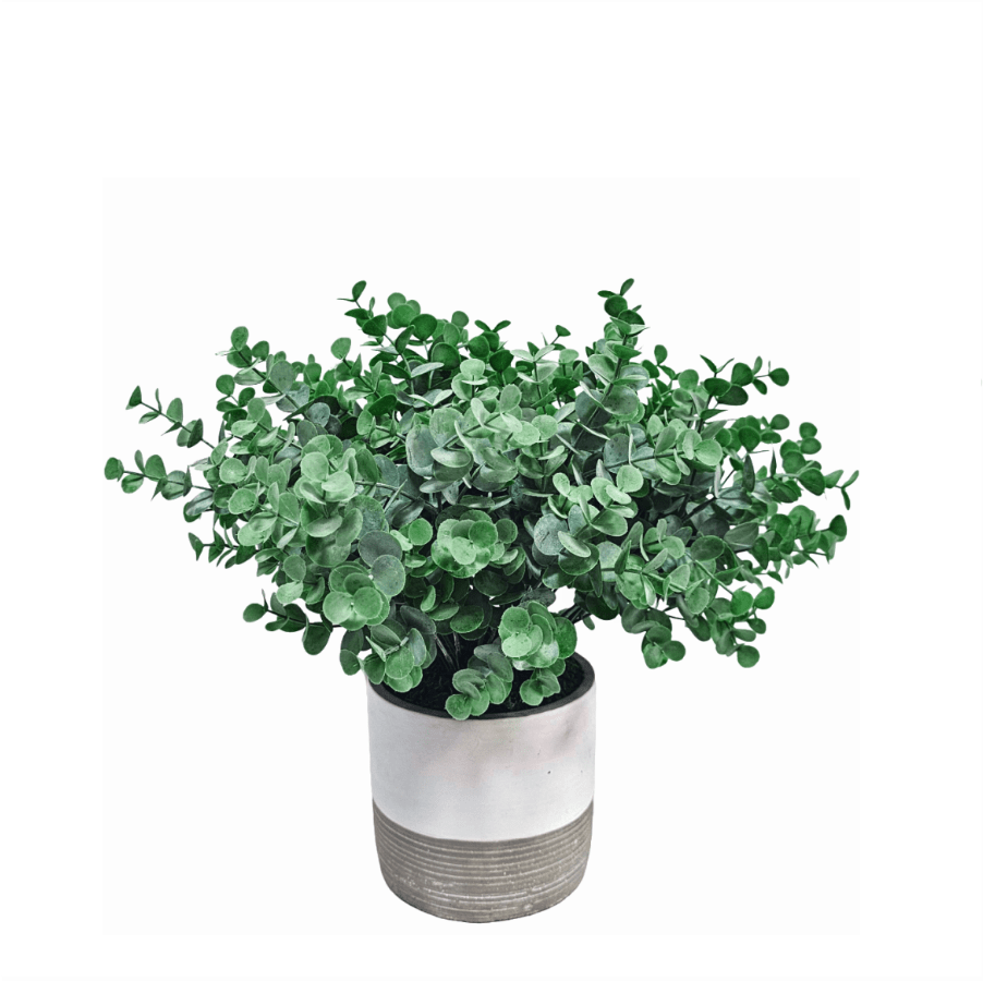 Eucalyptus Bush in Cement Container 14"H x 16"DIA - LDF Silk