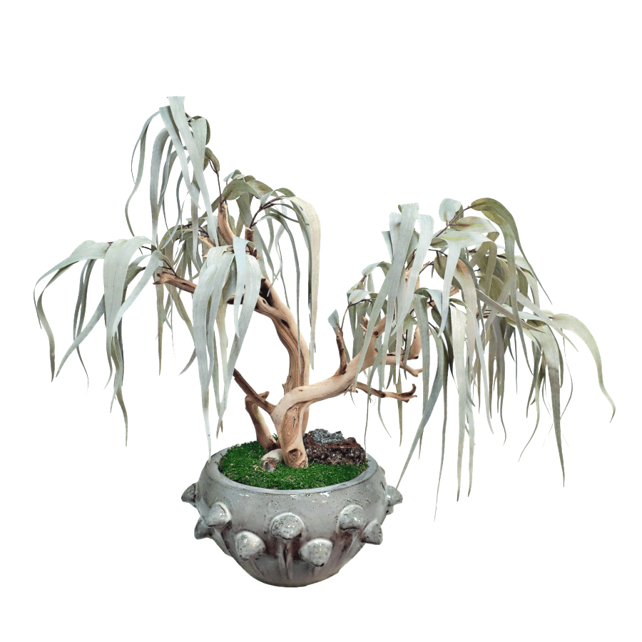 Eucalyptus Leaves on Sandblasted Ghostwood with Crystal in Ceramic Bowl 32"H - LDF Silk