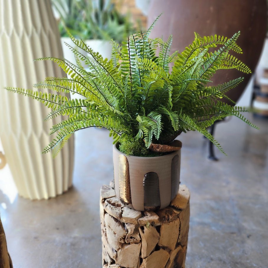 Fern in Glazed Ceramic 20"H - LDF Silk