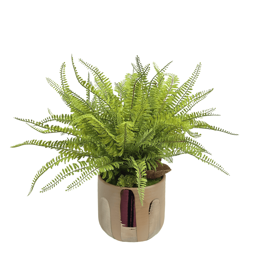 Fern in Glazed Ceramic 20"H - LDF Silk