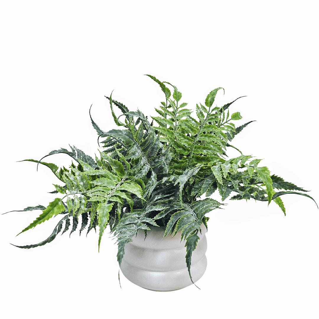 Fern Pick in Ribbed Ceramic 11"H x 15"DIA - LDF Silk