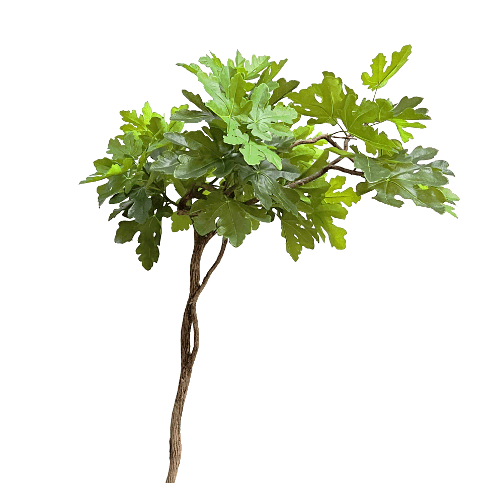 Fig Leaf Branch - Extra Full 60"H - LDF Silk