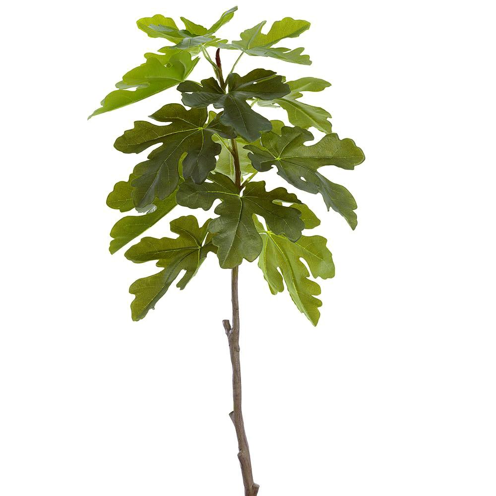 Fig Leaf Tree in Grow Pot 7'H - LDF Silk