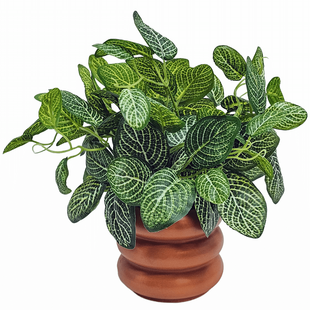 Fittonia Leaf Bush in Terracotta Ribbed Ceramic Pot 10.5"H x 12"W x 10"D - LDF Silk