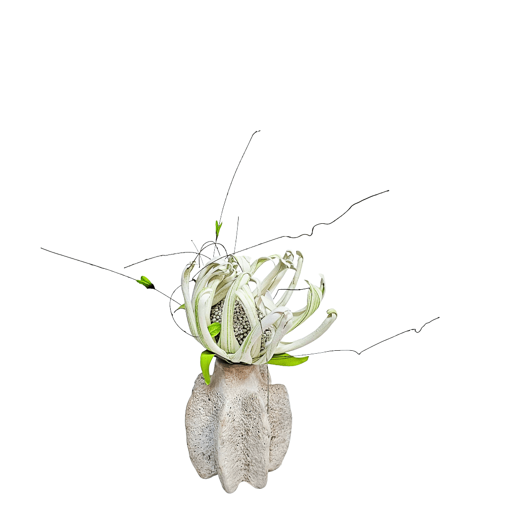 Foam Flower and Twig Vine in Terracotta 11"H - LDF Silk