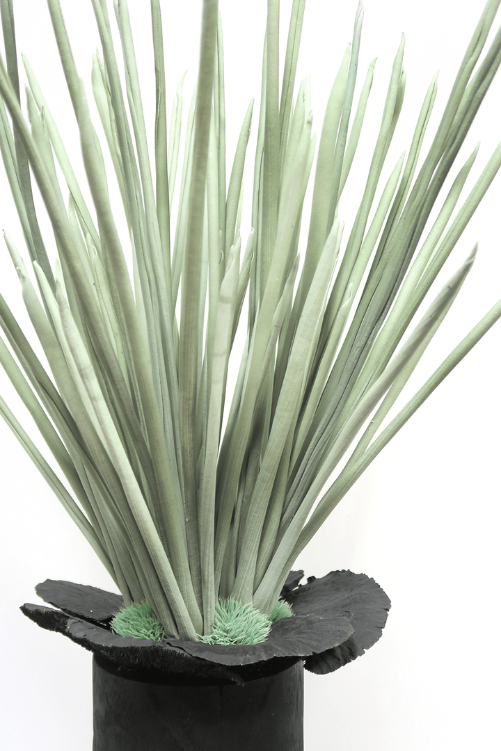 Foam Grass, Mini grass Bush, and Sponge Mushrooms in Wooden vase. 43"H - LDF Silk