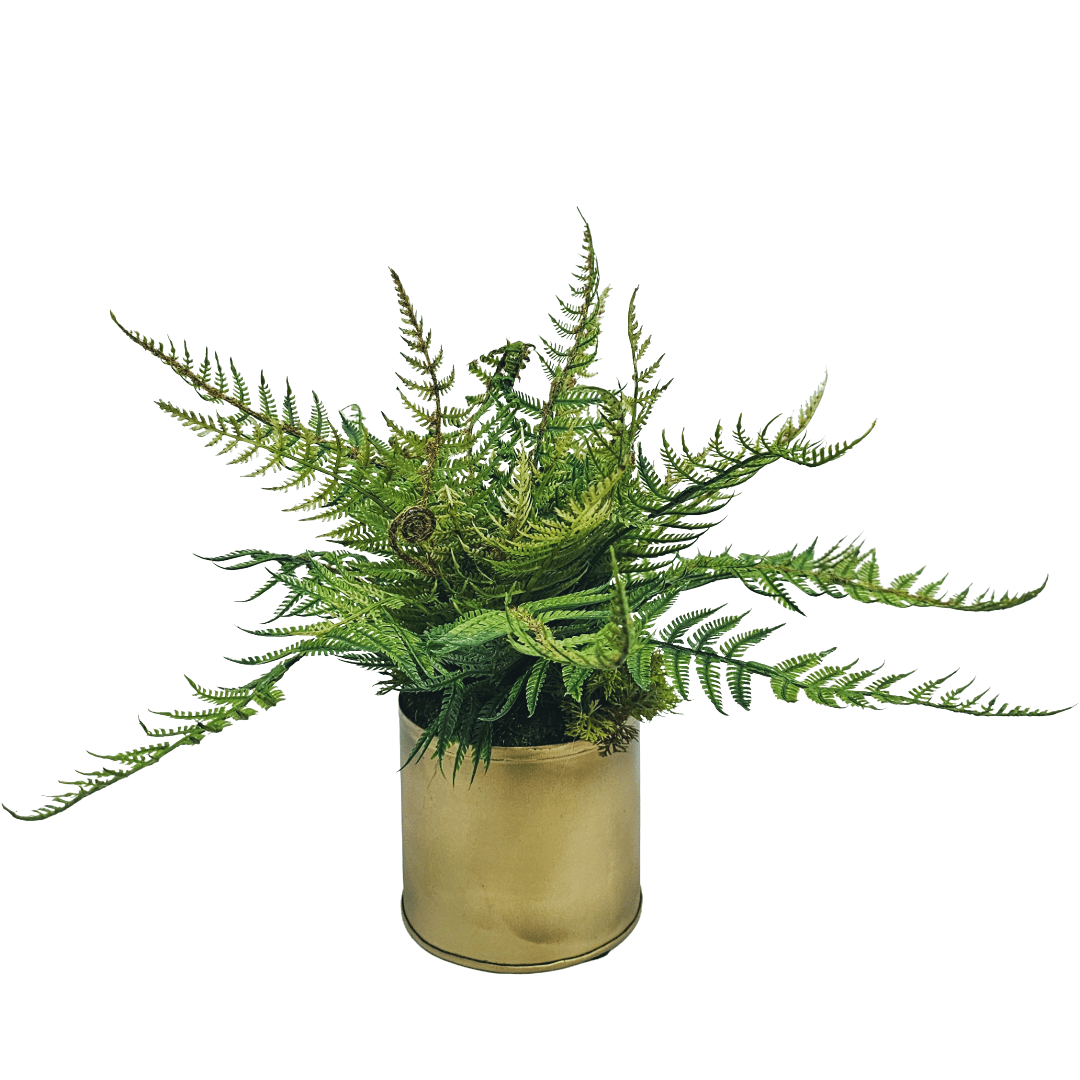 Forest Fern in Metal Pot 13"H x 18.5"DIA - LDF Silk