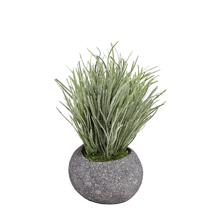 Frosted Sage Grass in Small Rock Pot 10.5"H - LDF Silk