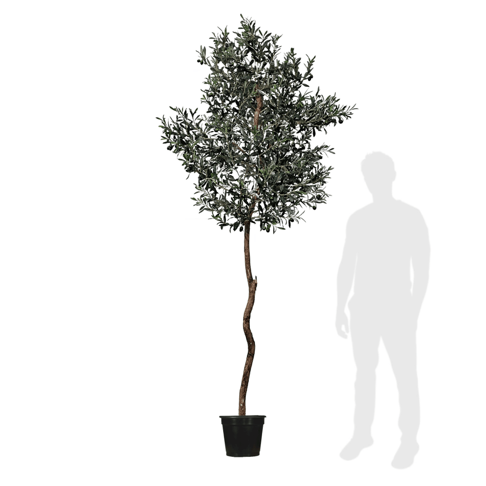 Fruited Olive Tree in Grow Pot (other sizes available) - LDF SilkArtificial Flora