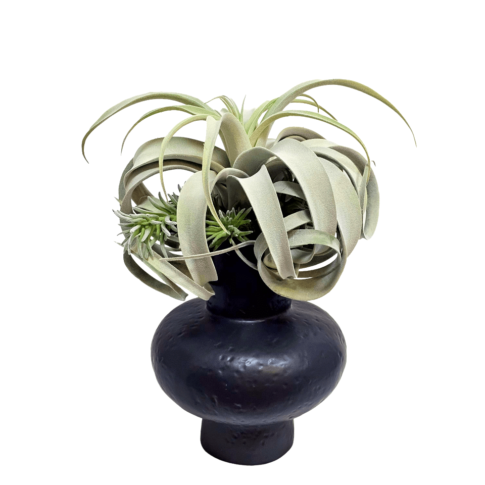 Giant Tillandsia in Ceramic Vase 18"H - LDF Silk