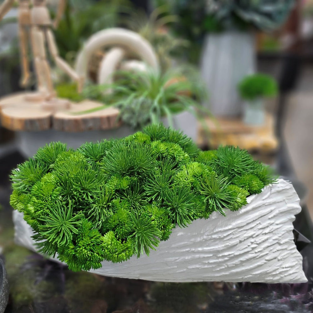 Grass Bush with Sedum in Oblong Container. FH: 9.5" - LDF SilkArtificial Flora