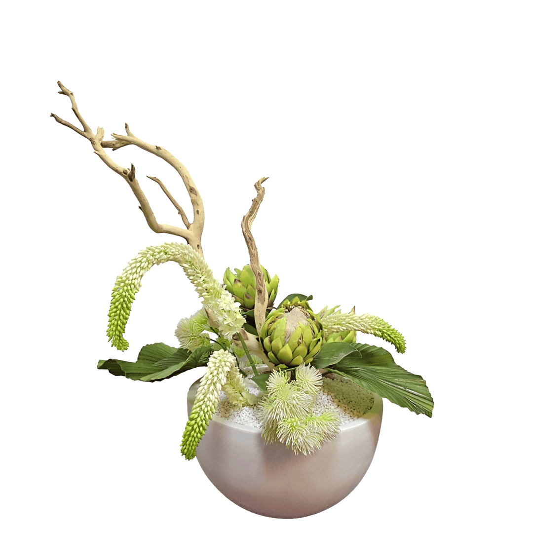 Green Protea, Thistle, Fan Palm, Ghostwood in White Pot 38"H - LDF Silk