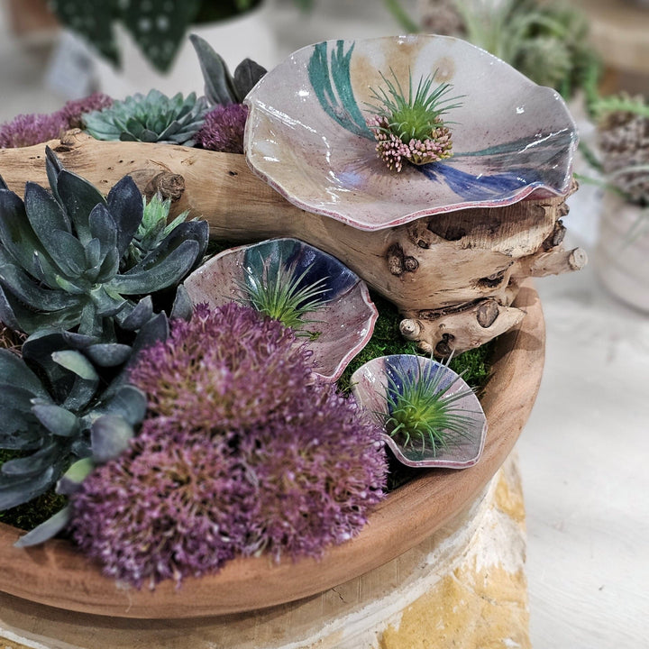 Hand Crafted Ceramic Discs with Grapewood and Succulents in Low Wood Bowl - Limited Edition 8"H - LDF Silk