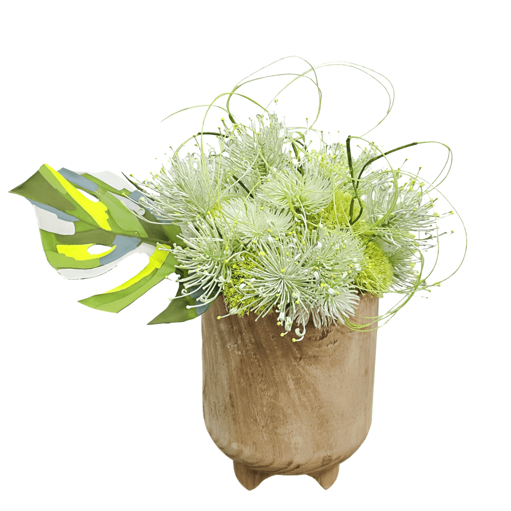 colored monstera Hand Painted Monstera with Protea, Thistle and Ting in Wood Container – LDF  Silk