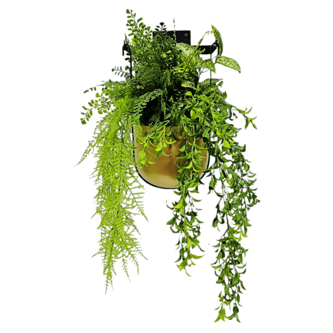 Hanging Planter with Mixed Fern, Peperomia Leaf, and Hanging Tea Leaf FH: 30"H - LDF Silk