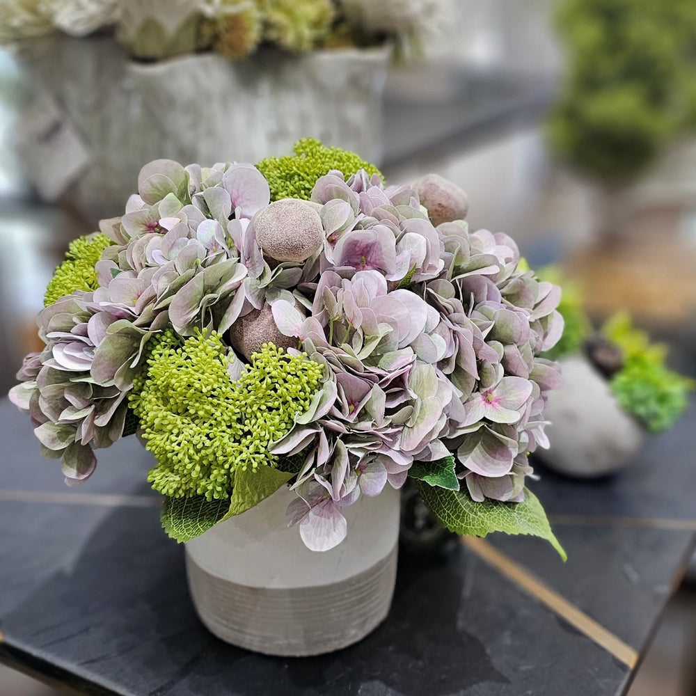 Hydrangeas, Figs and Skimmia in Container 12"H - LDF Silk